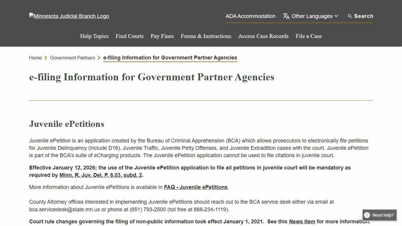 e-filing Information for Government Partner Agencies